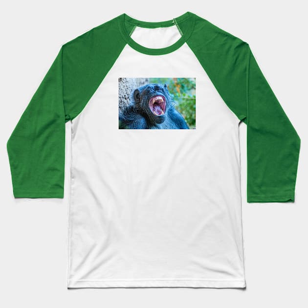 Chimpanzee laugh Baseball T-Shirt by dalyndigaital2@gmail.com